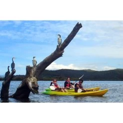 MISSION Surge -Best Boating Shop Surge4.1 9a235f4871ad5f536c67b2ff5ed4f281